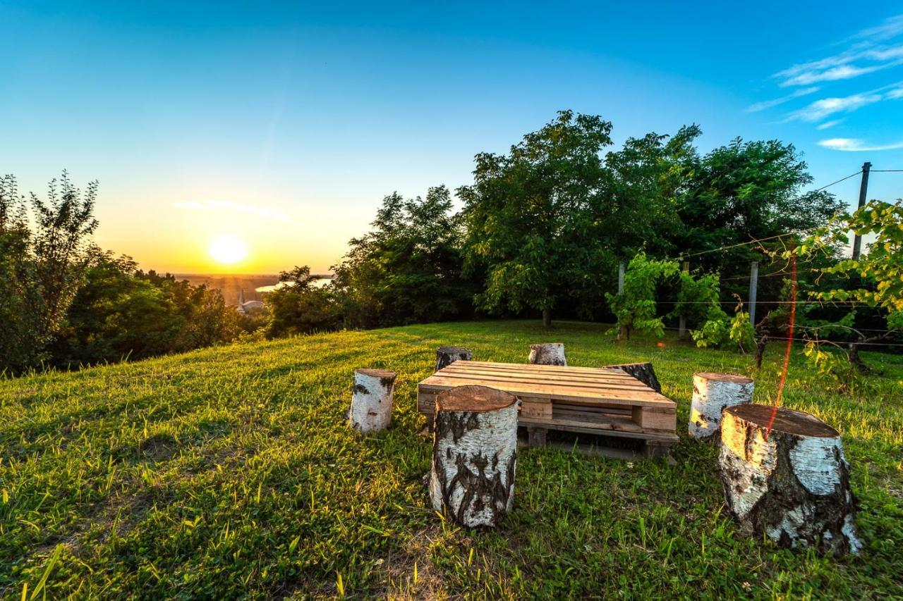 Danubio Residence Aljmaš エクステリア 写真